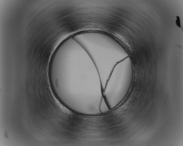 X0000097670942200803281009