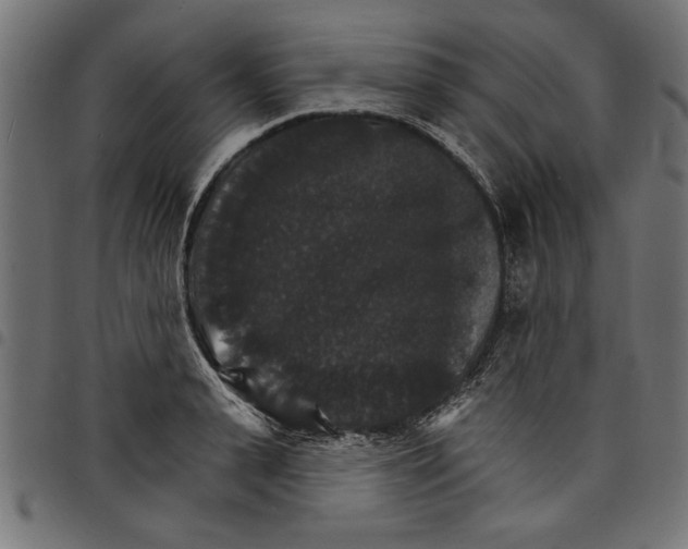 X0000097670943200803281009