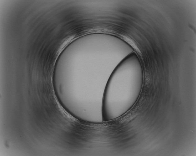 X0000097670946200803281010