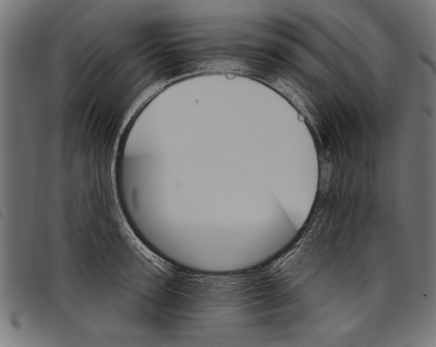 X0000097670947200803281010
