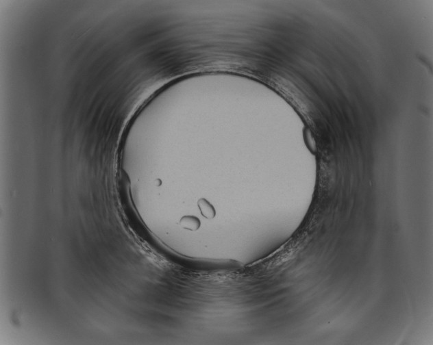 X0000097670948200803281010