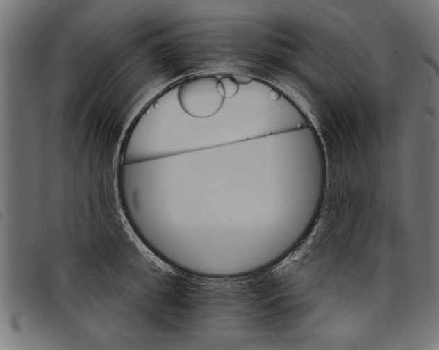 X0000097670949200803281010
