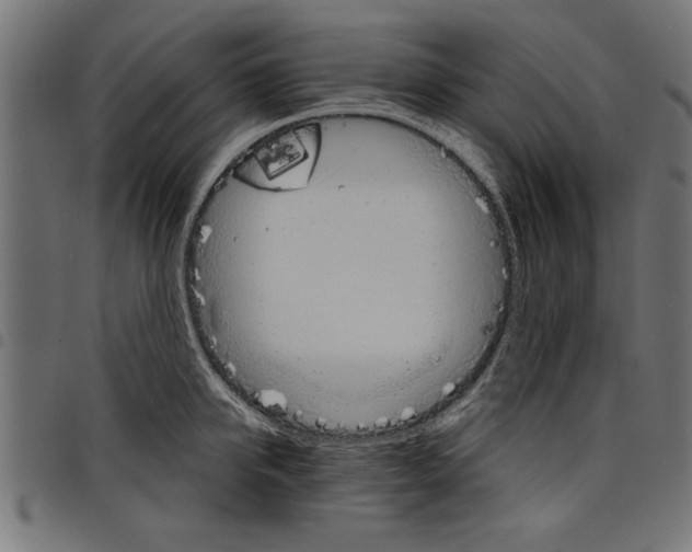 X0000097670950200803281010