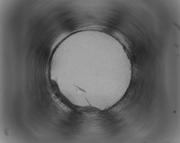 X0000097670952200803281010