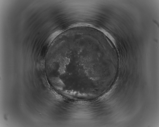 X0000097670953200803281010
