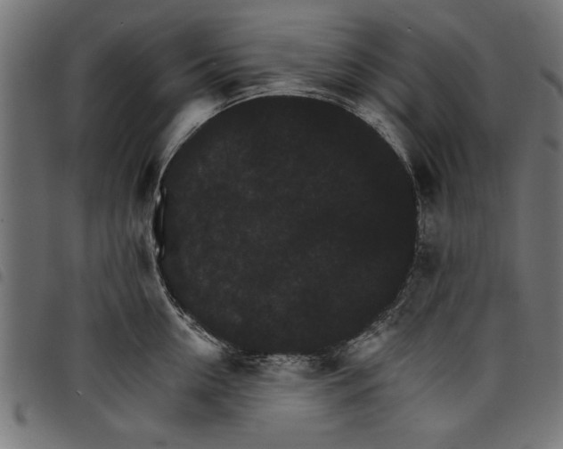 X0000097670954200803281010