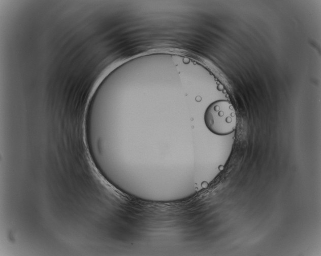 X0000097670955200803281010