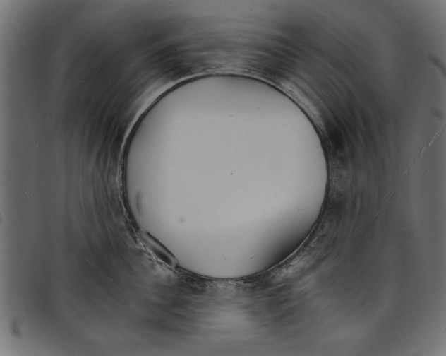 X0000097670956200803281010