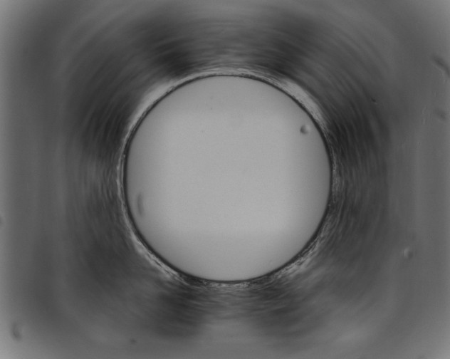 X0000097670958200803281010