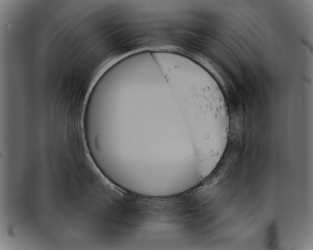 X0000097670959200803281010