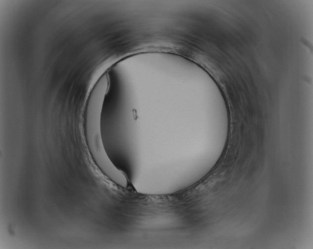 X0000097670960200803281010