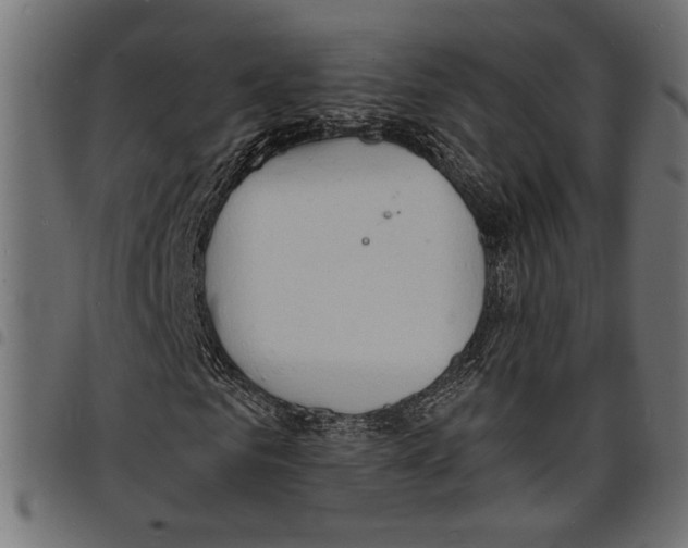 X0000097670961200803281009