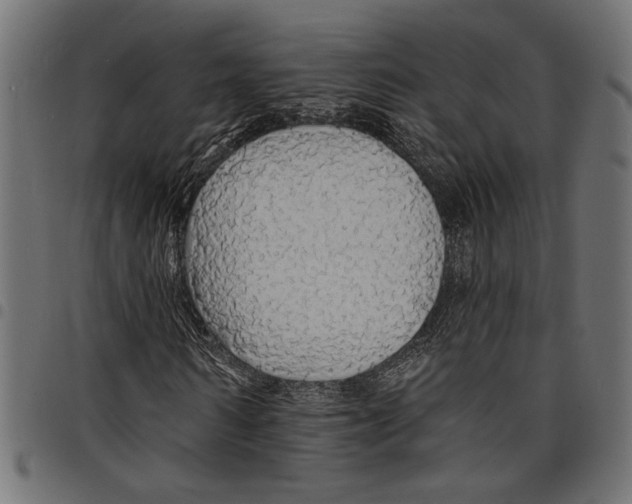 X0000097670962200803281009