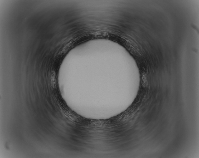X0000097670963200803281009