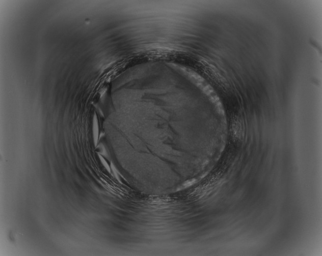 X0000097670964200803281009