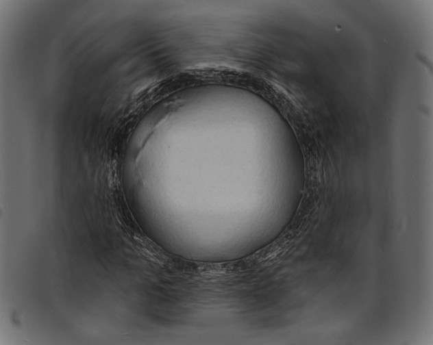 X0000097670965200803281009