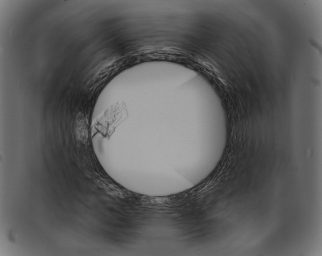 X0000097670966200803281009