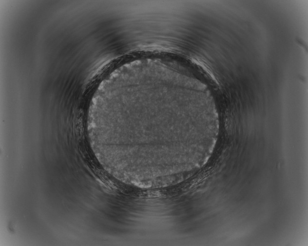 X0000097670968200803281009