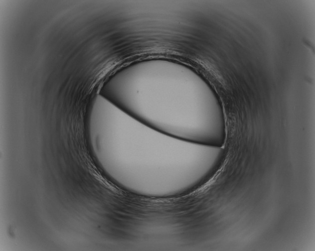 X0000097670969200803281009