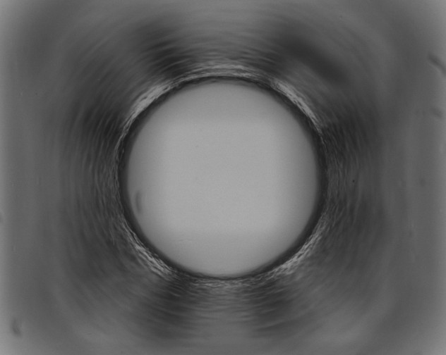 X0000097670970200803281009