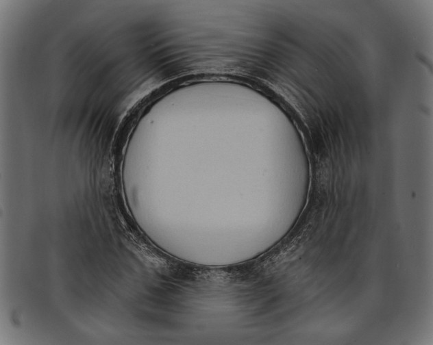 X0000097670971200803281009