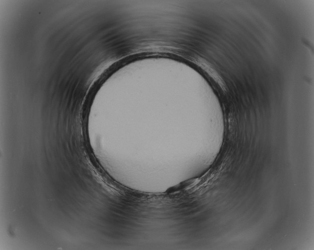 X0000097670972200803281009