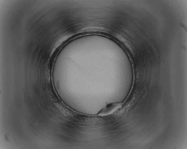 X0000097670973200803281009