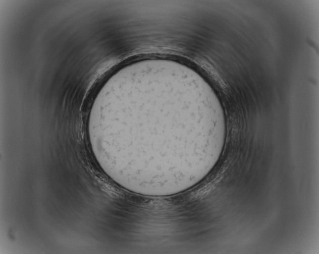 X0000097670974200803281009