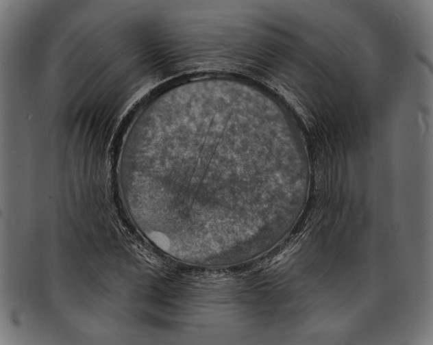X0000097670975200803281009