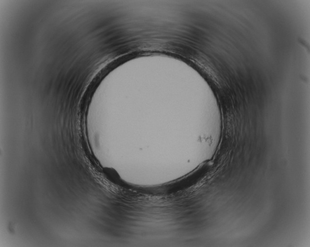 X0000097670976200803281009