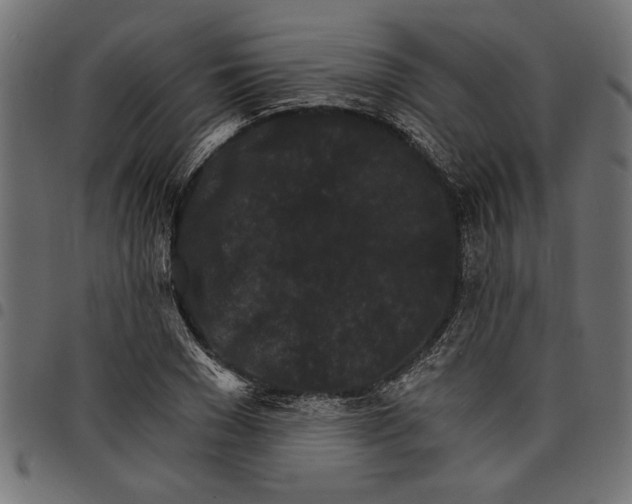 X0000097670977200803281009