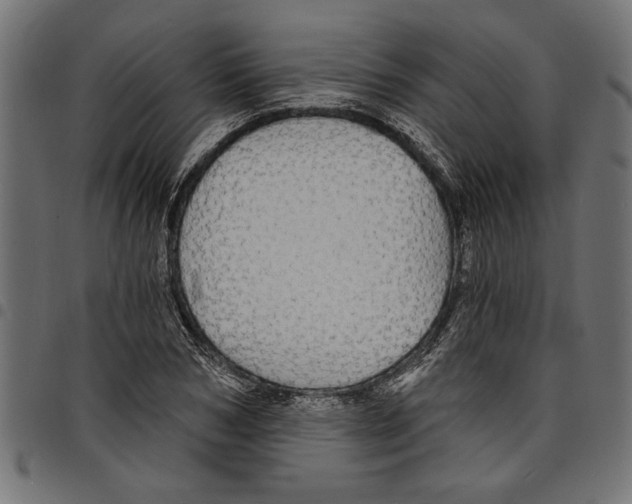 X0000097670978200803281009