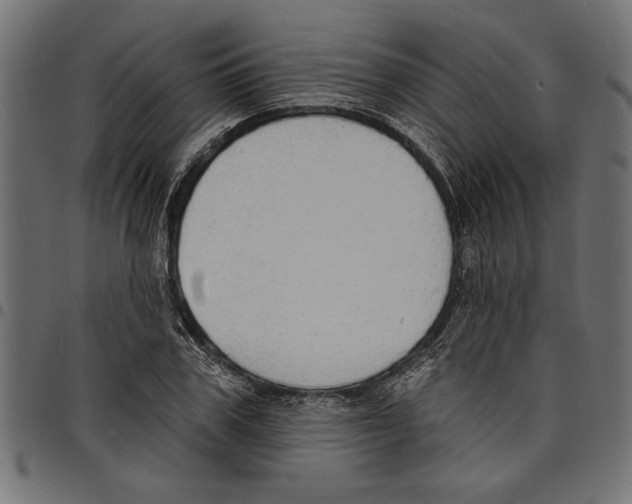 X0000097670979200803281009