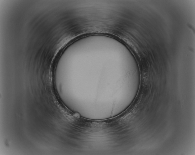 X0000097670981200803281009