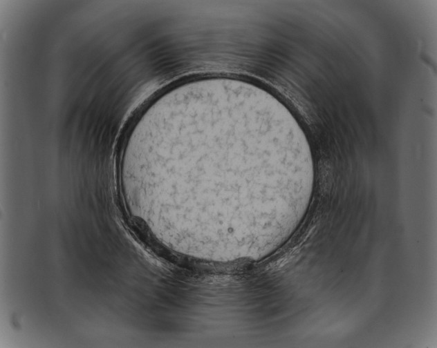 X0000097670982200803281009