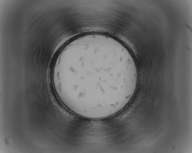 X0000097670983200803281009