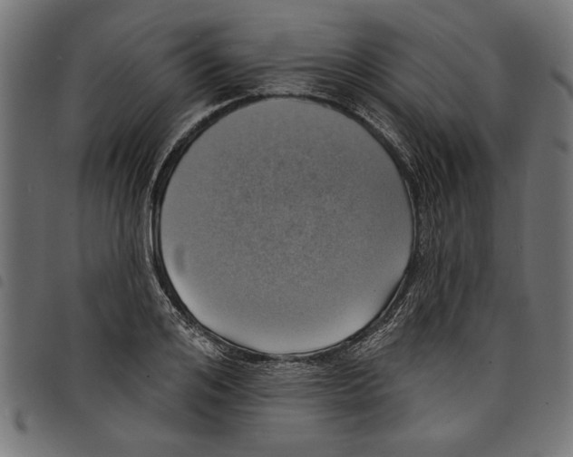 X0000097670984200803281009