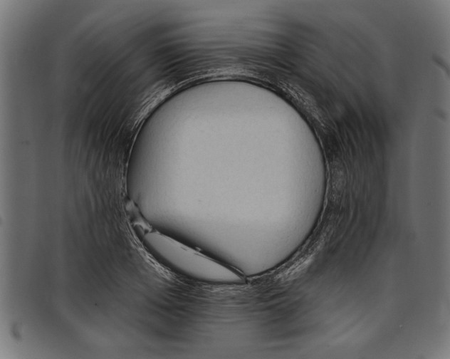 X0000097670985200803281009