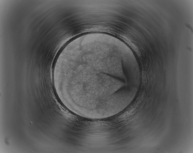 X0000097670988200803281009