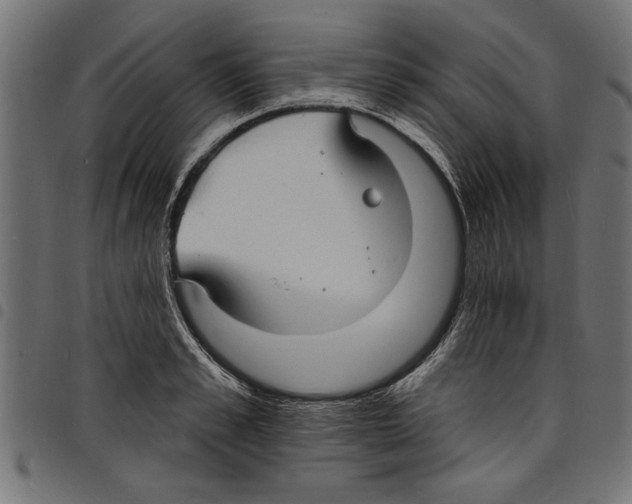 X0000097670989200803281009
