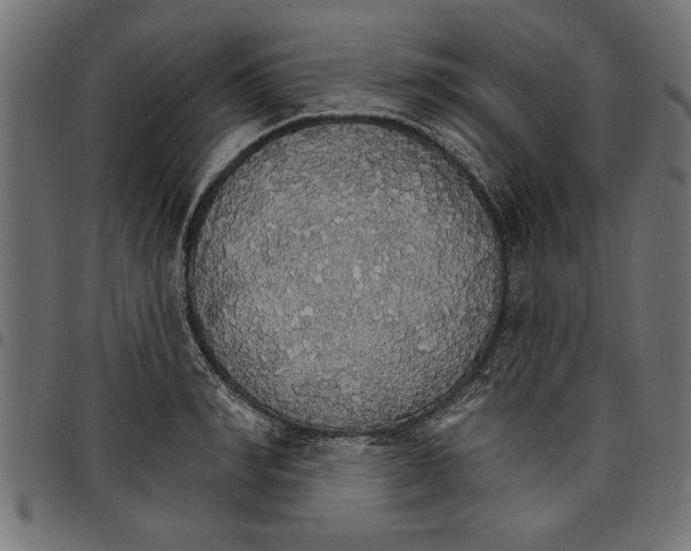 X0000097670990200803281009