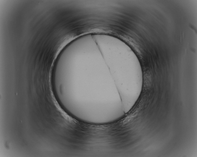 X0000097670991200803281009