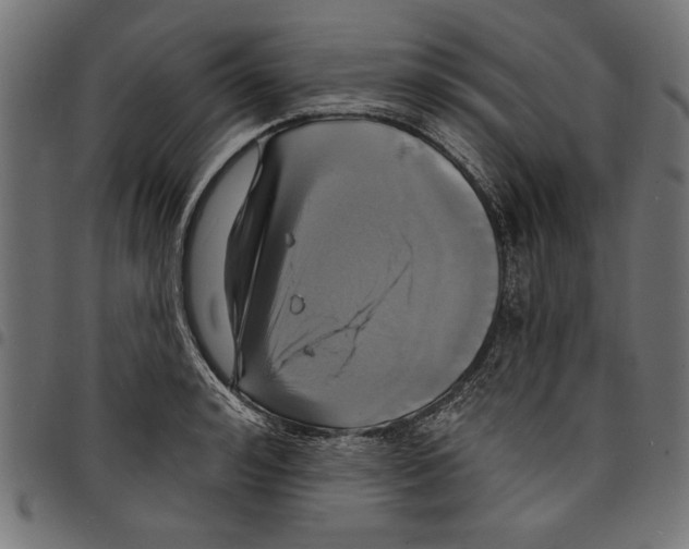 X0000097670992200803281009
