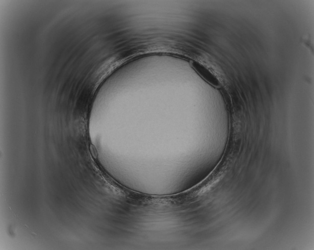 X0000097670993200803281009