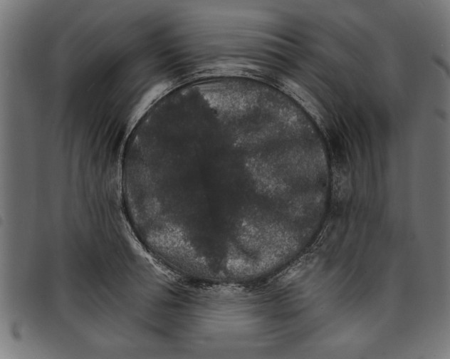 X0000097670994200803281009