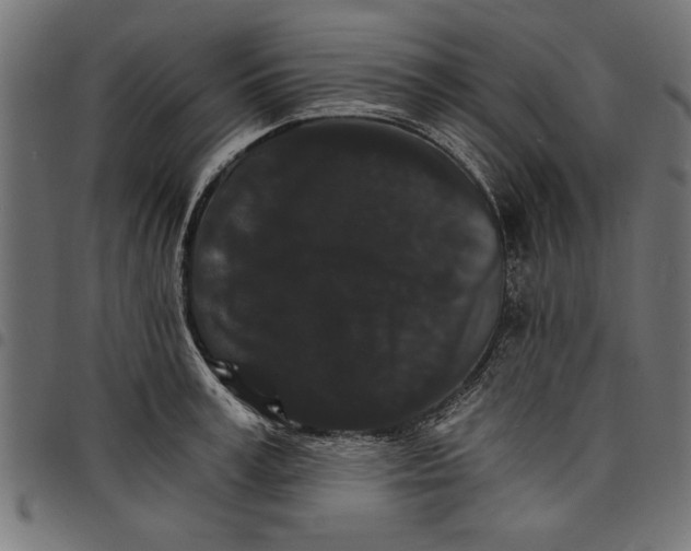 X0000097670995200803281009