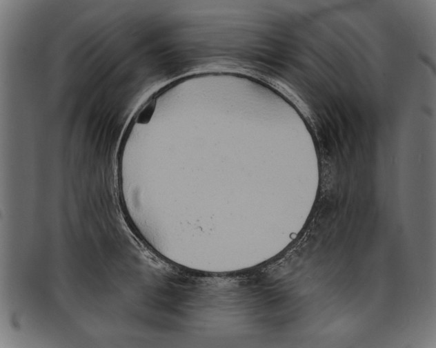 X0000097670996200803281009