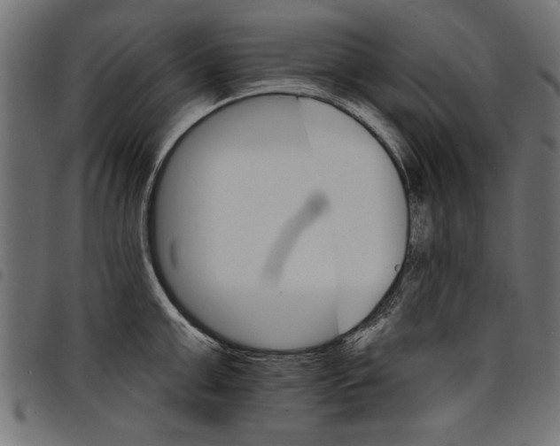 X0000097670999200803281009
