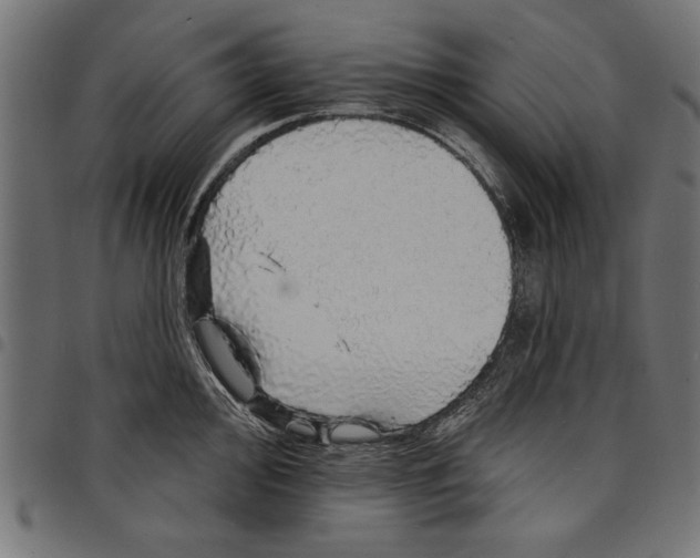 X0000097671000200803281009