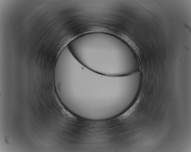 X0000097671001200803281008